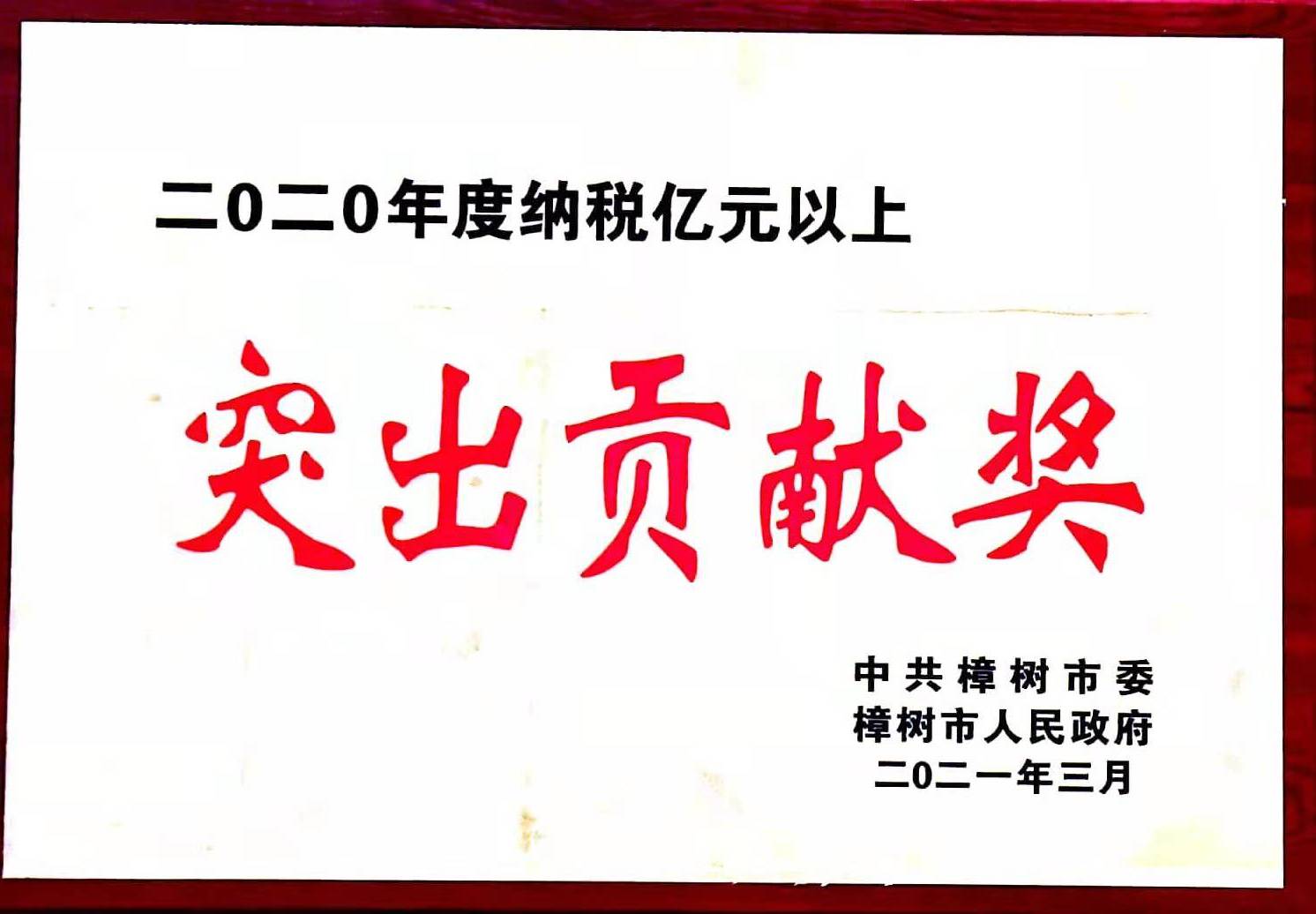 2020年度納稅億元以上 突出貢獻(xiàn)獎(jiǎng)